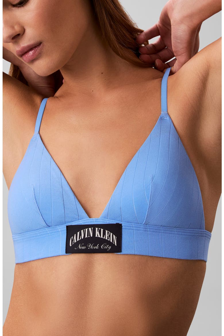 Heritage Classic Lightly Lined Triangle Bra, Main, color, BLUE DESCENT