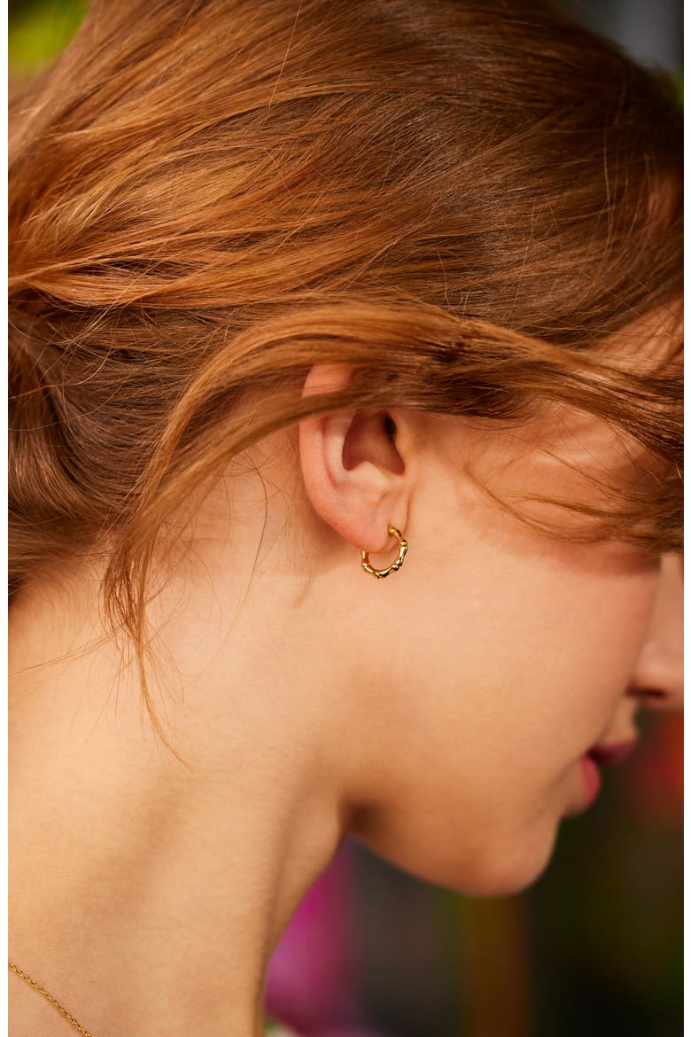 Small Bamboo Link Hoop Earrings, Alternate, color, GOLD