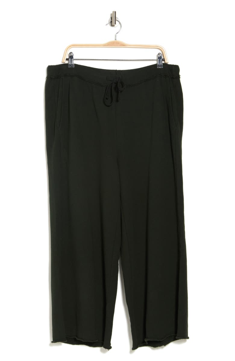 Eileen Fisher Organic Cotton French Terry Crop Wide Leg Pants, Main, color, Ivy