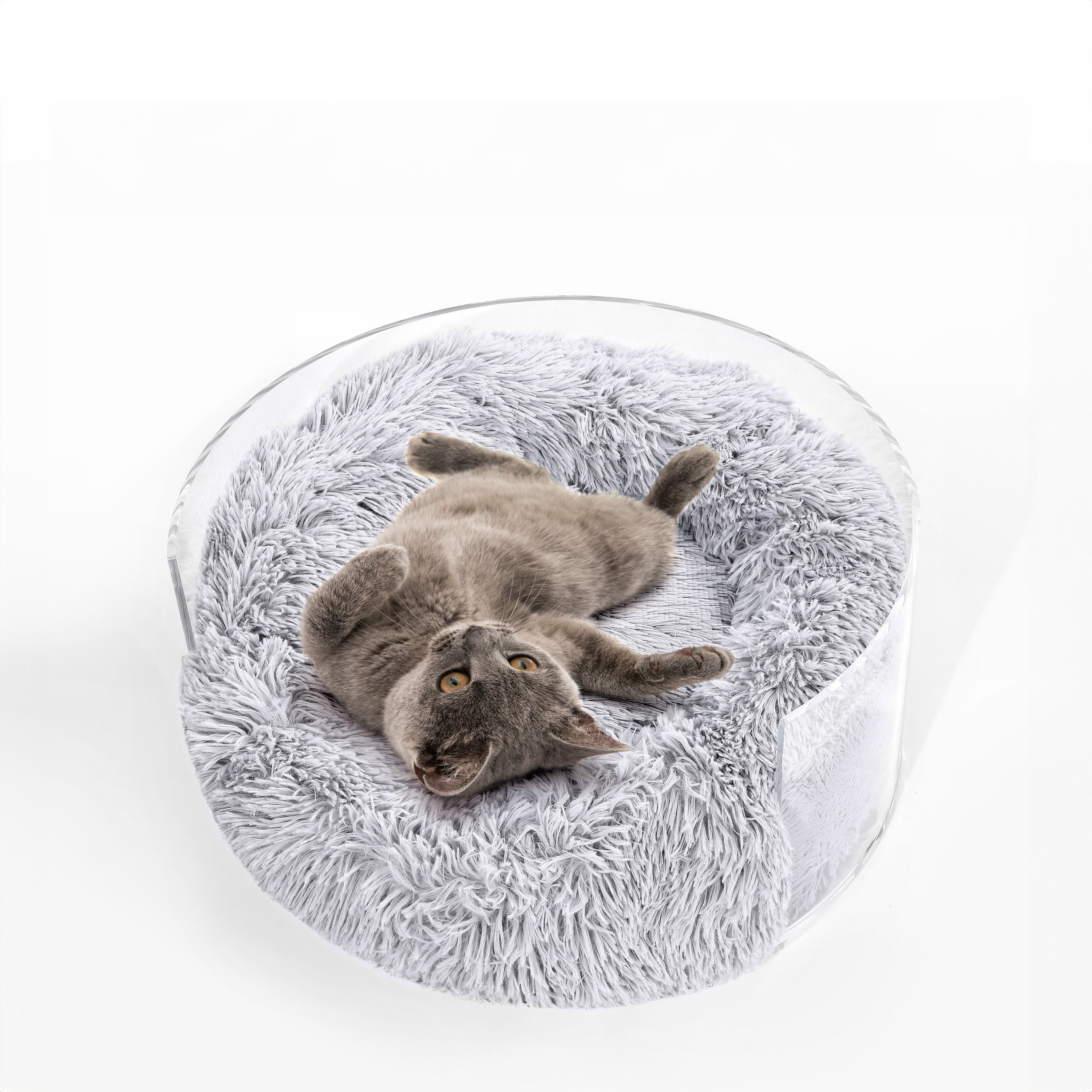 selected Light Gray/Clear