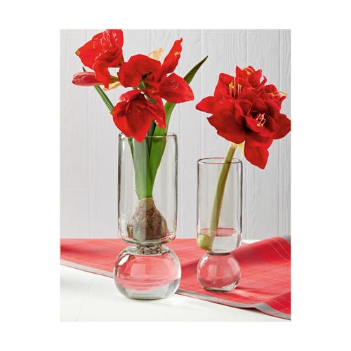 Tag Amaryllis Small Recycled Glass Decorative Novelty Vase Green In Transparent