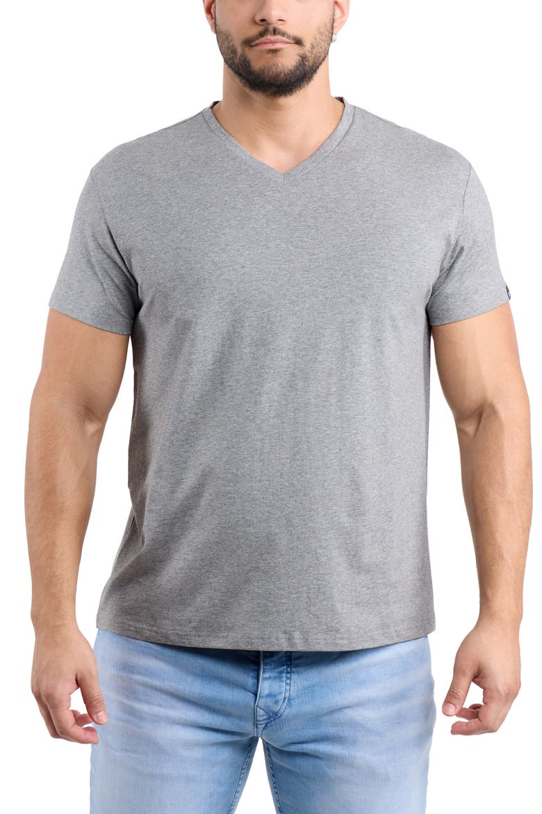 V-Neck Flex T-Shirt, Main, color, OATMEAL