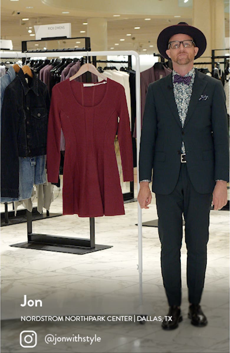 Luminosity Long Sleeve Paneled Mini Sweater Dress, sales video thumbnail