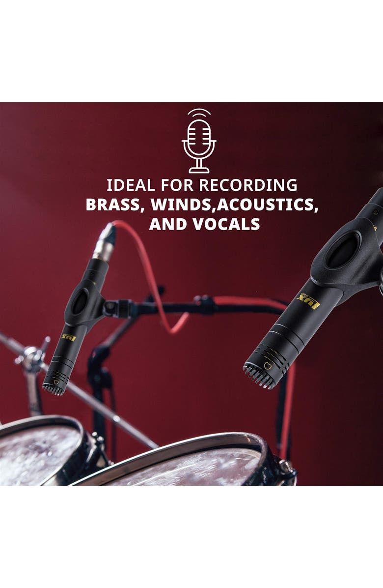 Lyxpro Pair of Pencil Condenser Microphone Stick Set with Omni, Cardioid & Super Cardioid Capsules, Alternate, color, 