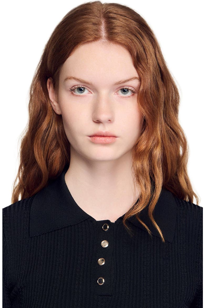 Knit polo shirt, Alternate, color, Black
