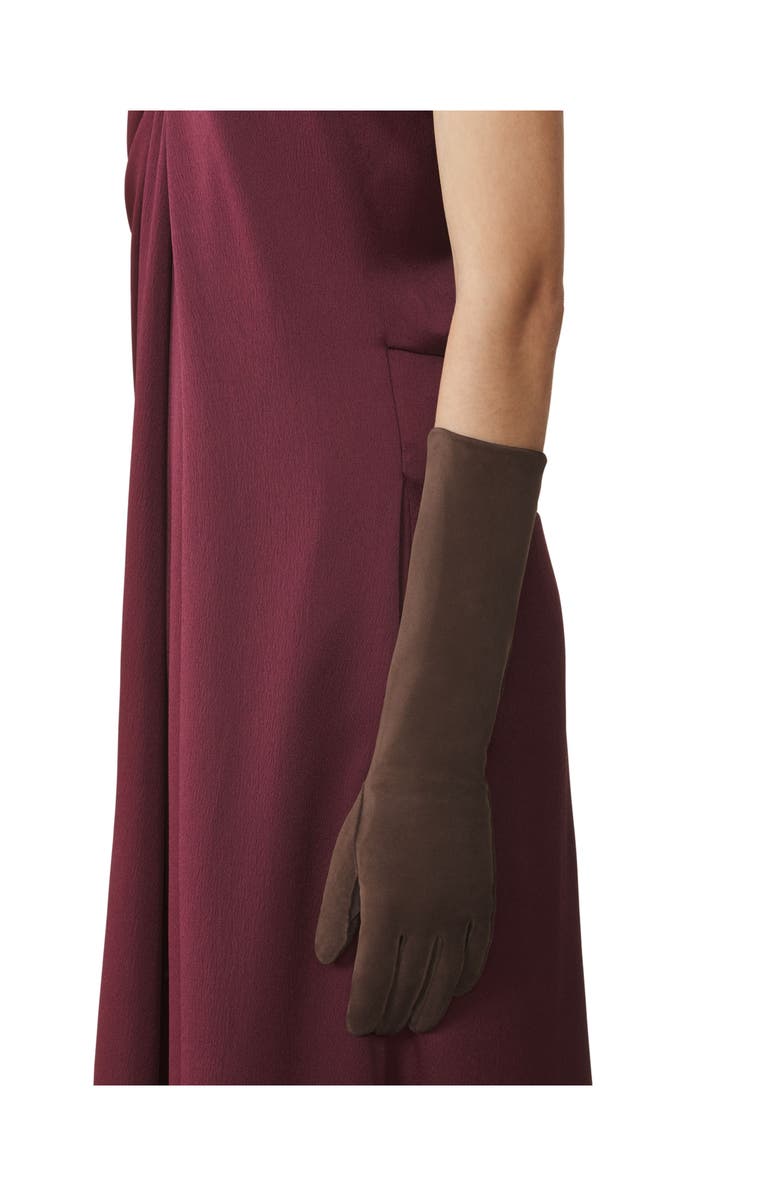 Lanvin Long Slim Suede Gloves, Alternate, color, Mocha