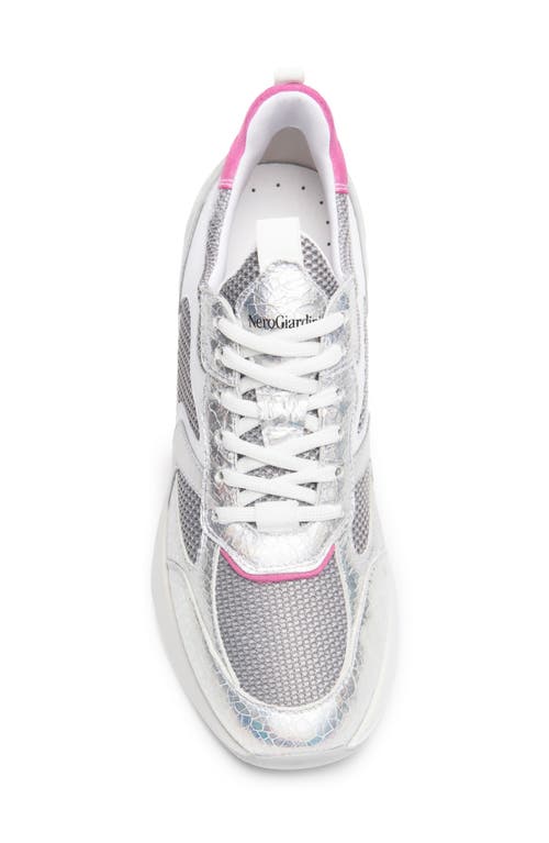 Nerogiardini Metallic Platform Sneaker In Silver/pink