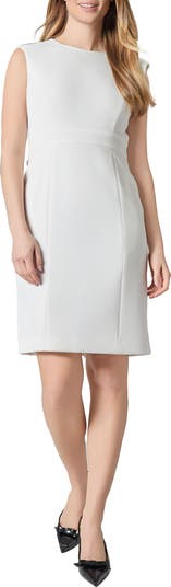 Cap Sleeve Sheath Dress