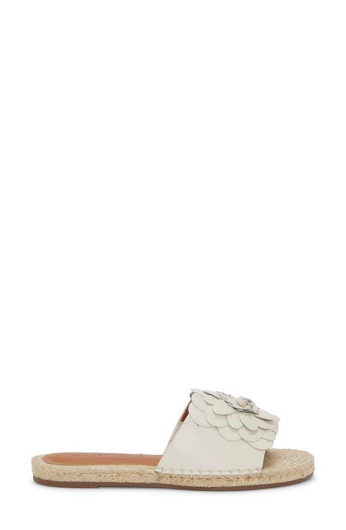 Lucky Brand Biricha Slide Sandal In Tusk