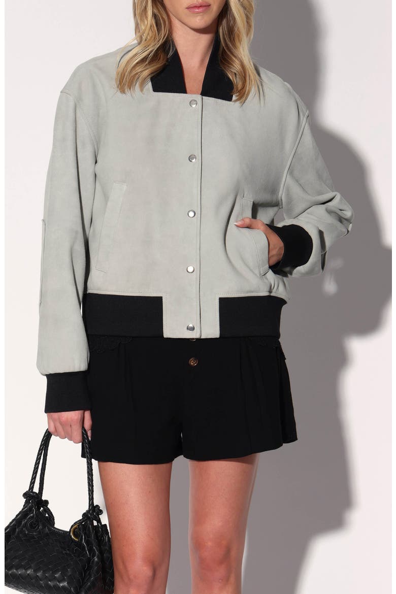 Emilio Suede Jacket, Alternate, color, MIST SUEDE
