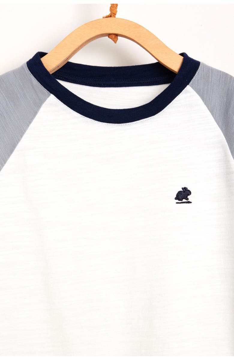 Babycottons Snow Color Block T-Shirt for Toddler, Alternate, color, 