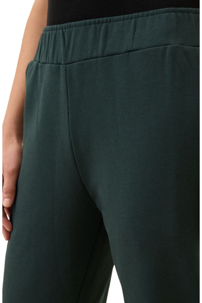 Organic Brushed Fleece Sweatpant, Alternate, color, Dark Spruce