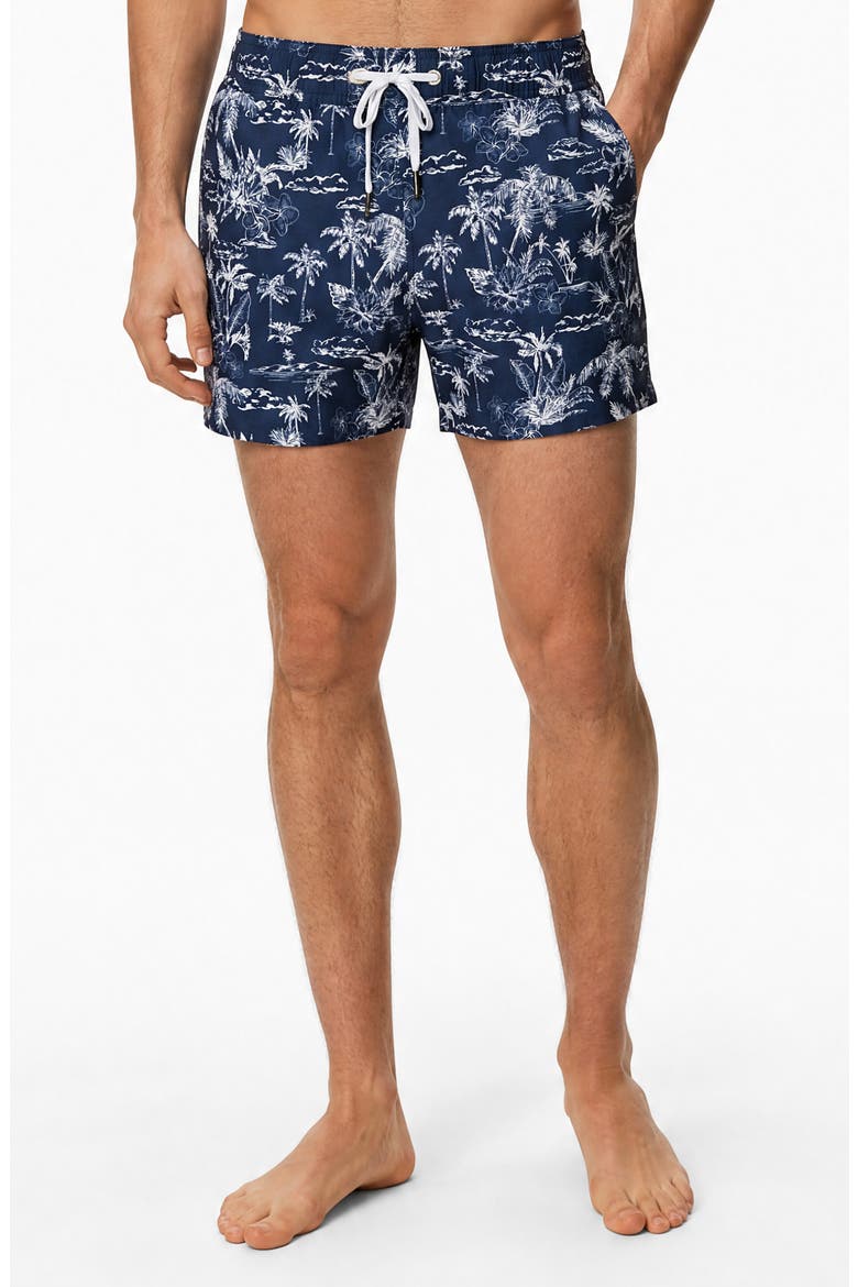 Stretch Volley Swim Trunks, Alternate, color, MARINE MULTI