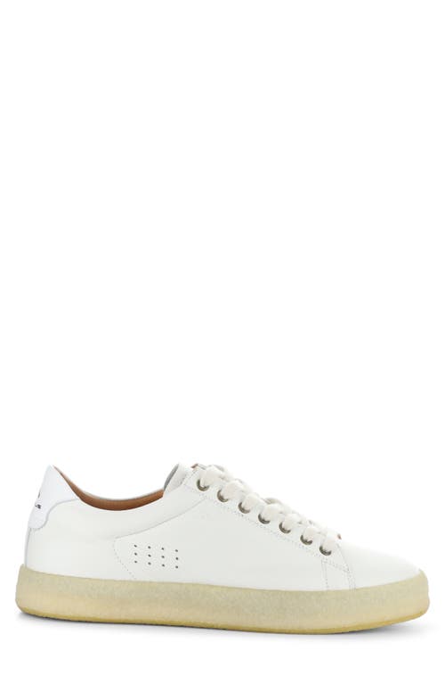 AMBITIOUS AMBITIOUS 13410 LOW TOP SNEAKER