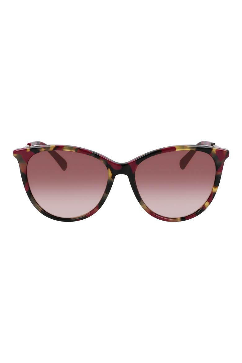 55mm Gradient Tea Cup Sunglasses, Main, color, RED HAVANA