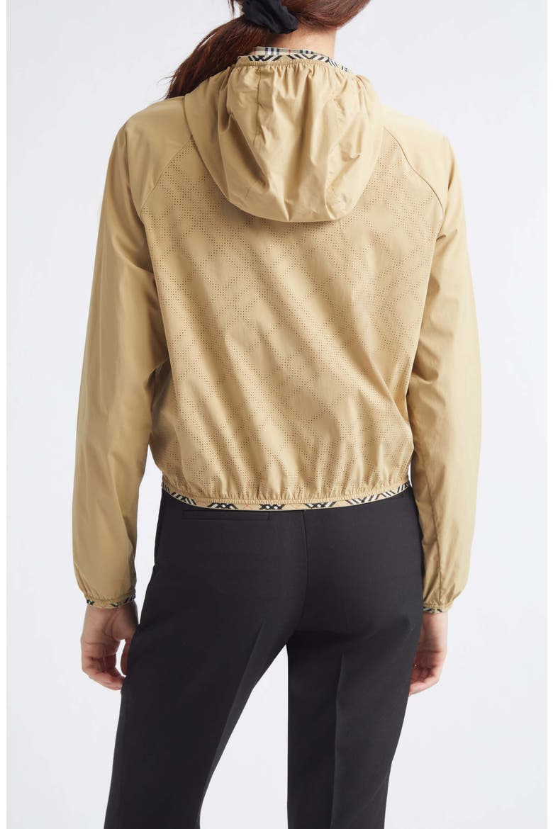 Ambrook Stretch Nylon Hooded Jacket, Alternate, color, BEIGE