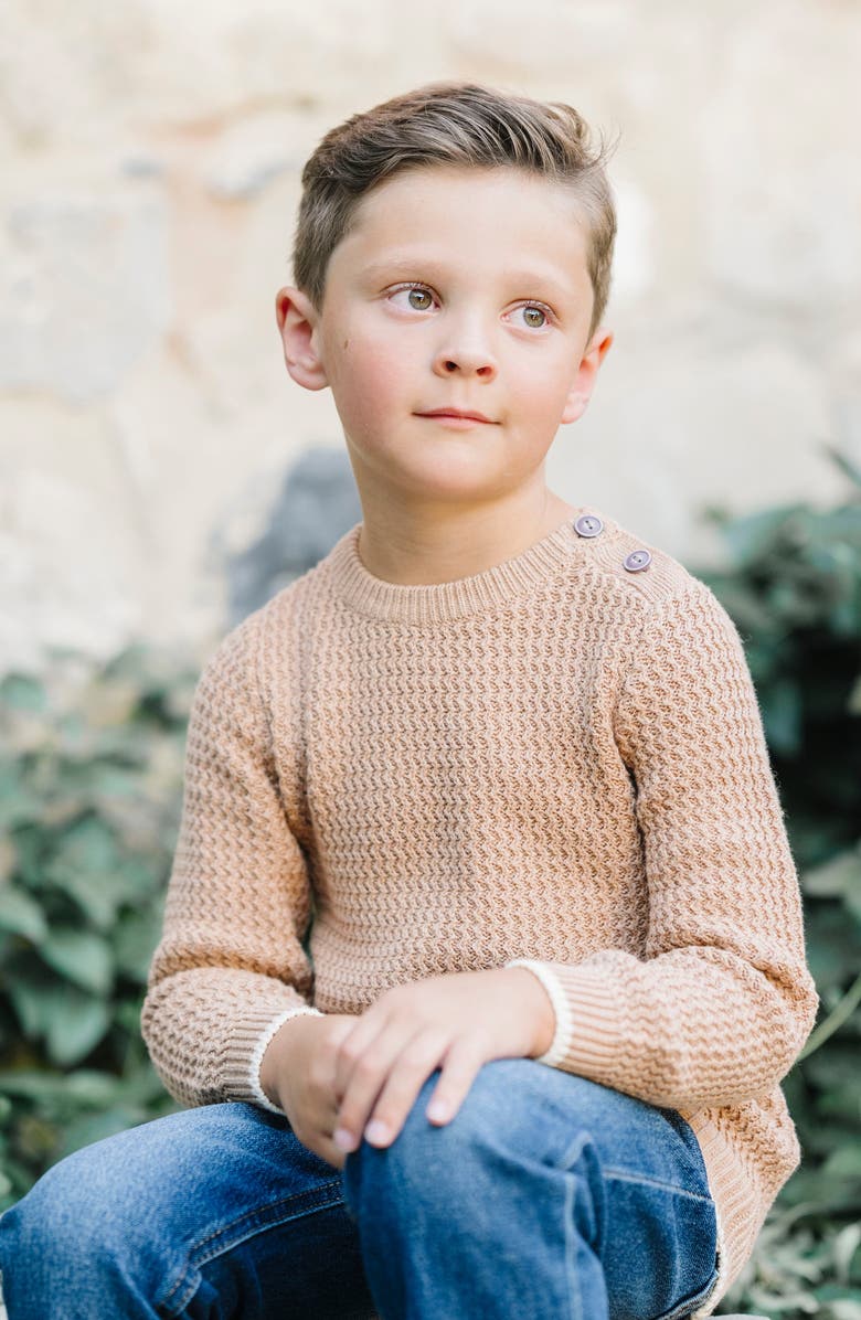 Hope & Henry Kids' Organic Long Sleeve Crewneck Sweater with Buttons, Alternate, color, Camel Heather Herringbone