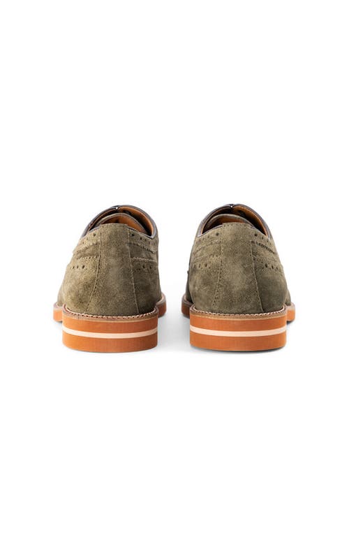 Anthony Veer Hamilton Wingtip Derby In Green