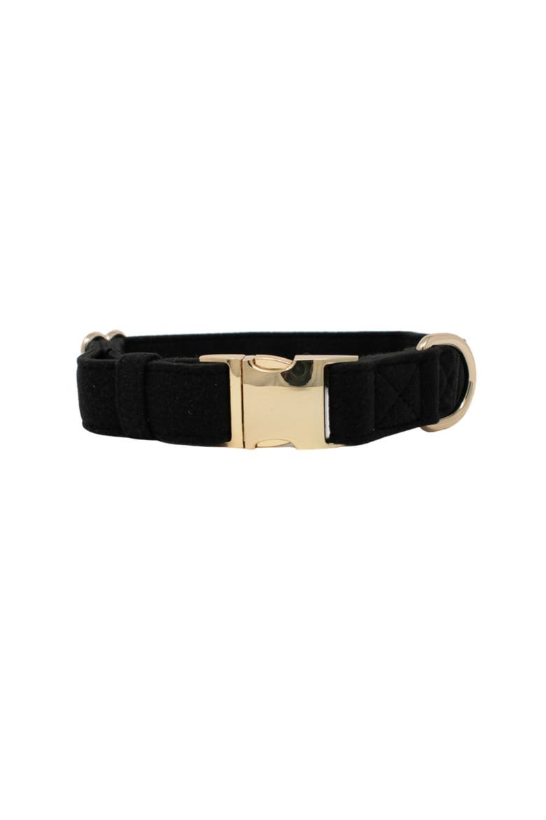 Ryan Dog Collar, Main, color, Ryan