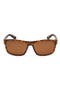  Havana / Brown Polarized
