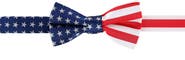 Trafalgar America's Old Glory Silk Bow Tie