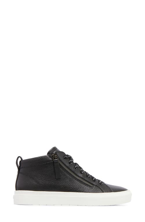 Frankie4 Morgan Mid Top Sneaker In Black