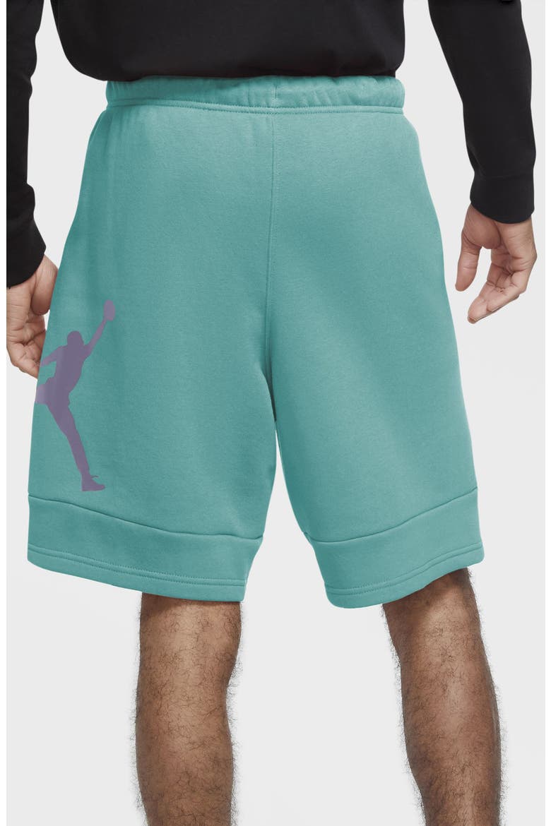 Jumpman Air Fleece Drawstring Shorts, Alternate, color, TROPICAL TWIST/ DAYBREAK