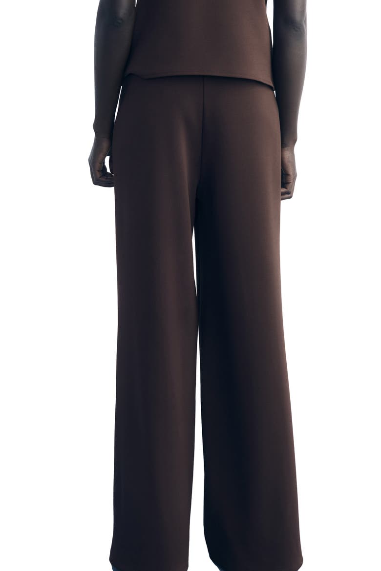 Salve Eastic Waist Pants, Alternate, color, BROWN