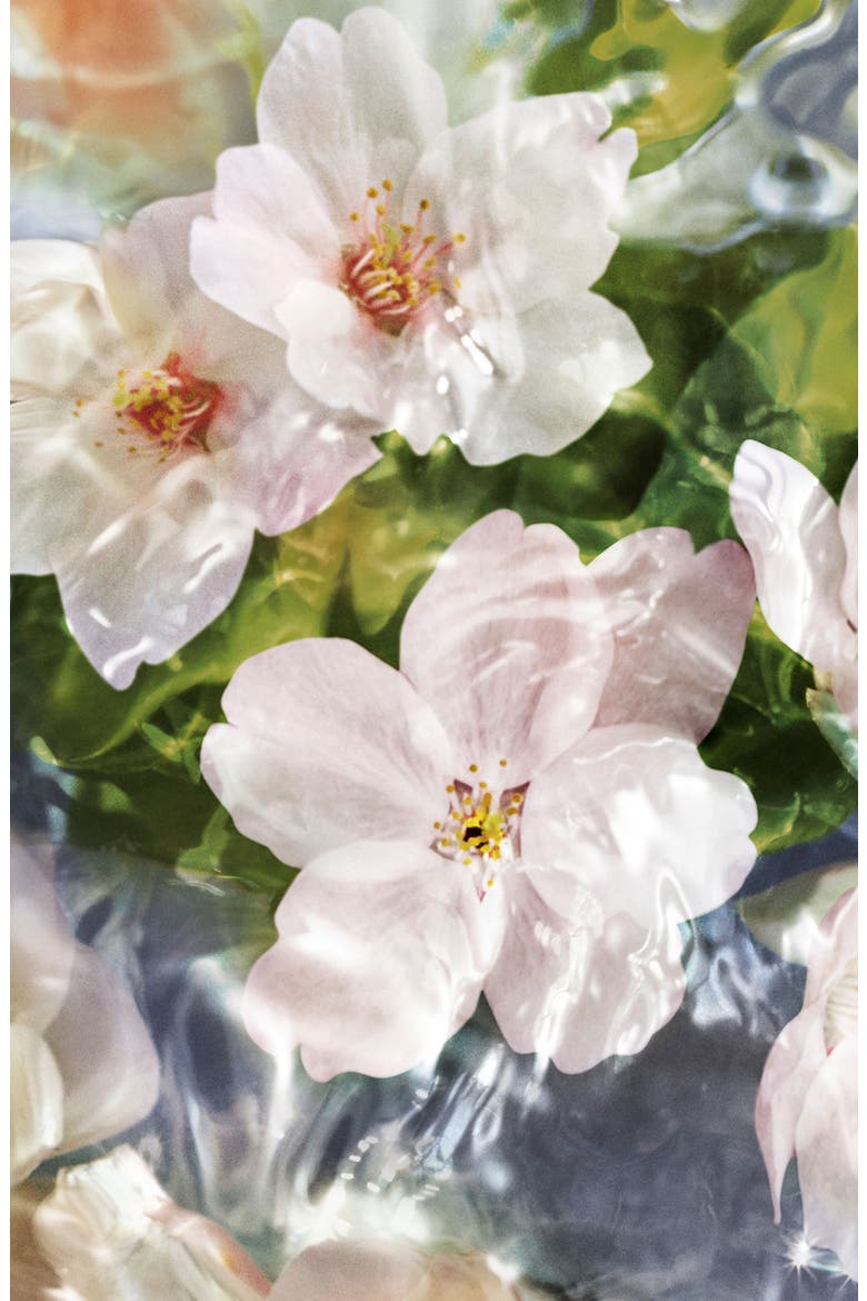Aqua Allegoria Flora Cherrysia Eau de Toilette, Alternate, color, NO COLOR