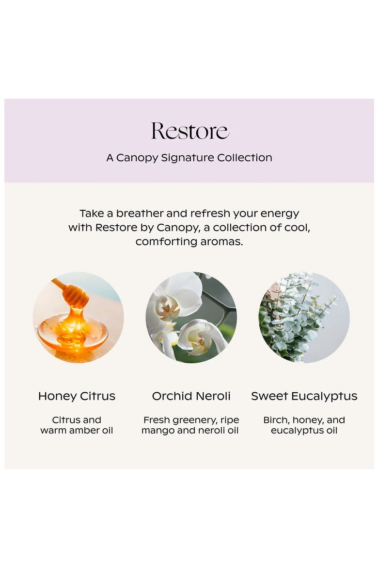 Restore Aroma Kit, Alternate, color, NO COLOR