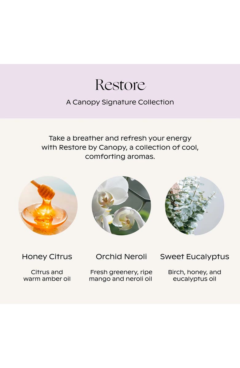 CANOPY Restore Aroma Kit, Alternate, color,