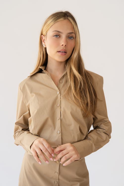 Shani X By Tess Shani Dress In Brown