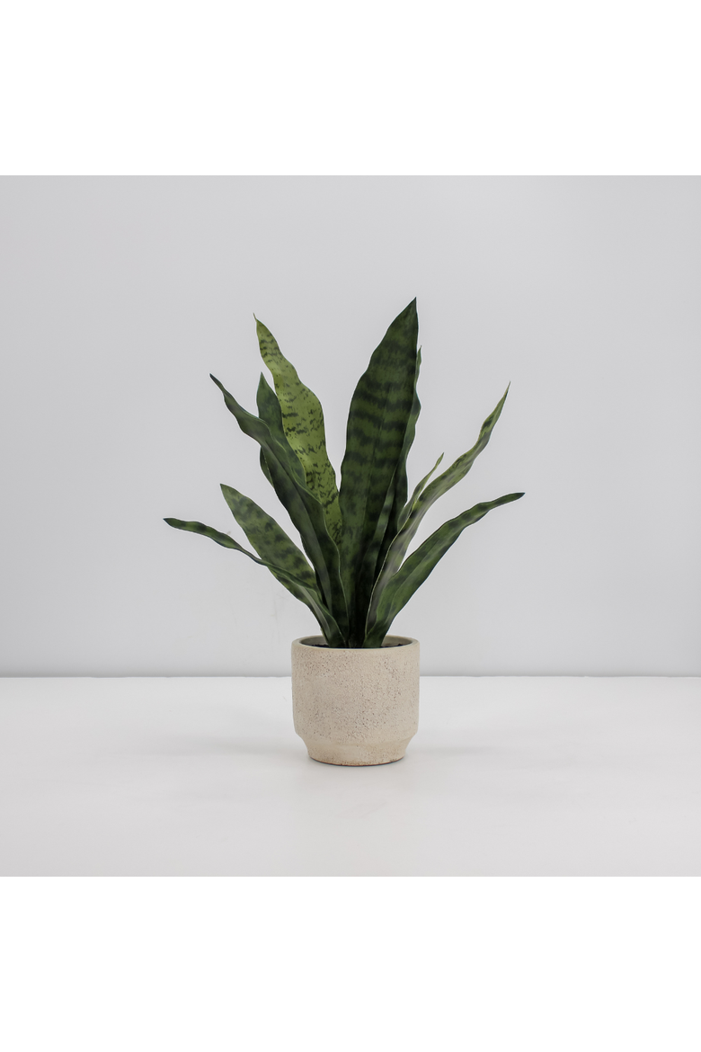16" Faux Snake Plant and Fern Set in Cream Pot, Alternate, color, Crème