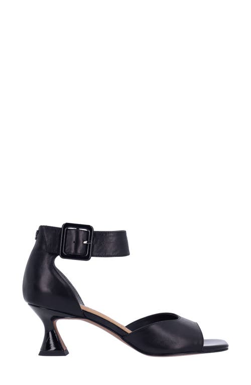 Shop J. Reneé Genevra Ankle Strap Sandal In Black