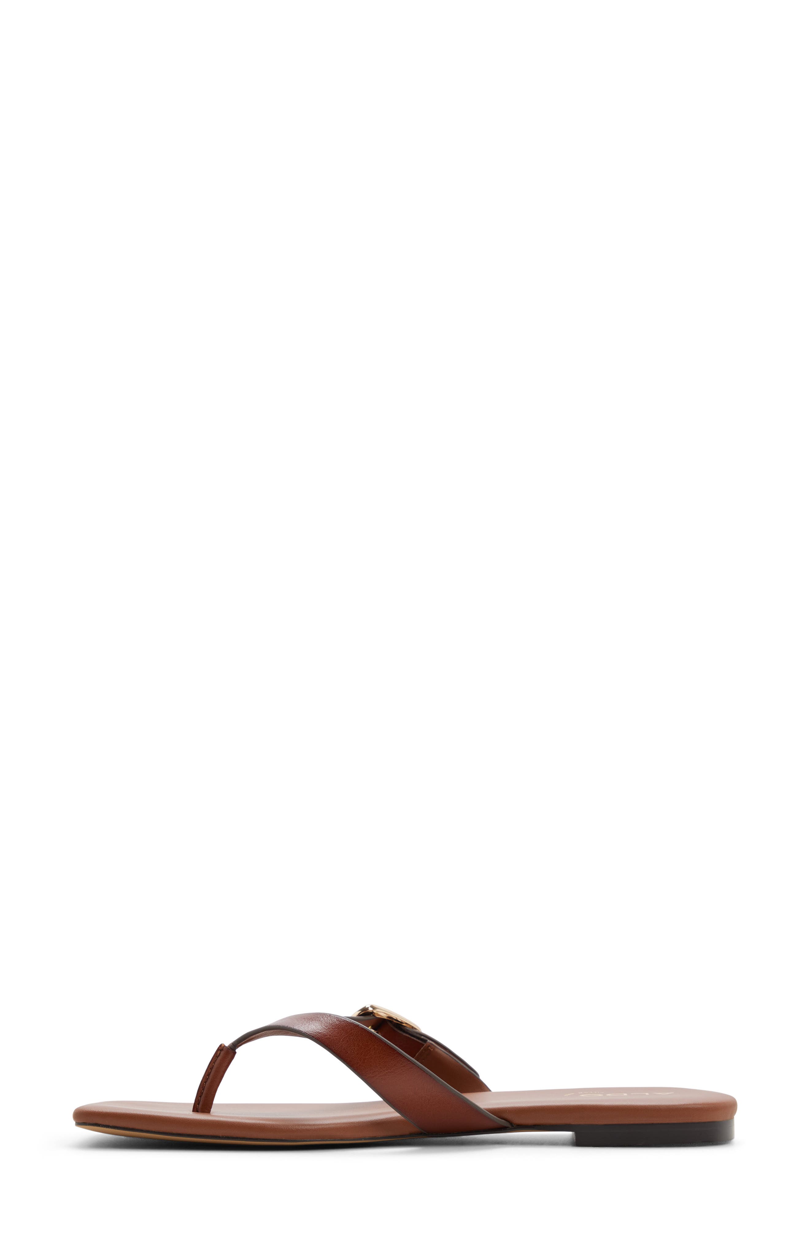 Leonnia Buckle Flip Flop, Alternate, color, MEDIUM BROWN