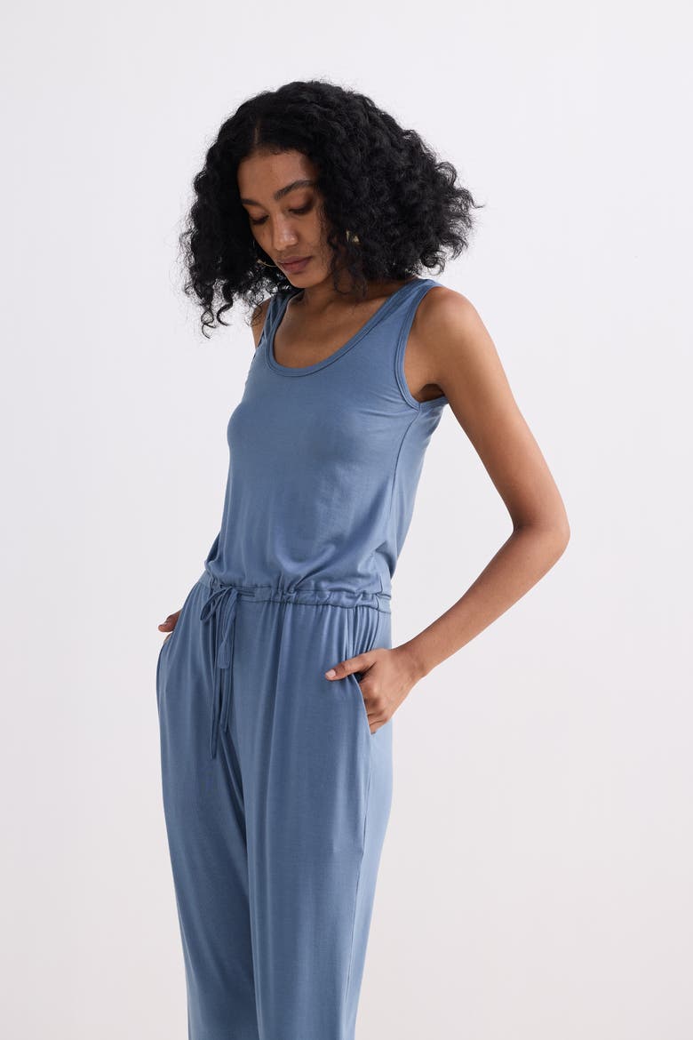 Relaxed Drawstring Jumpsuit, Alternate, color, Blue