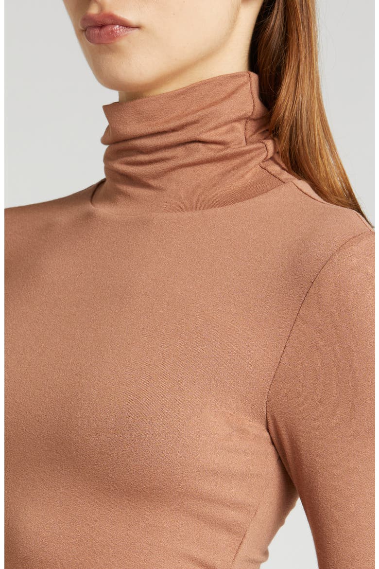 Micaela Long Sleeve Crop Turtleneck Top, Alternate, color, RAW UMBER