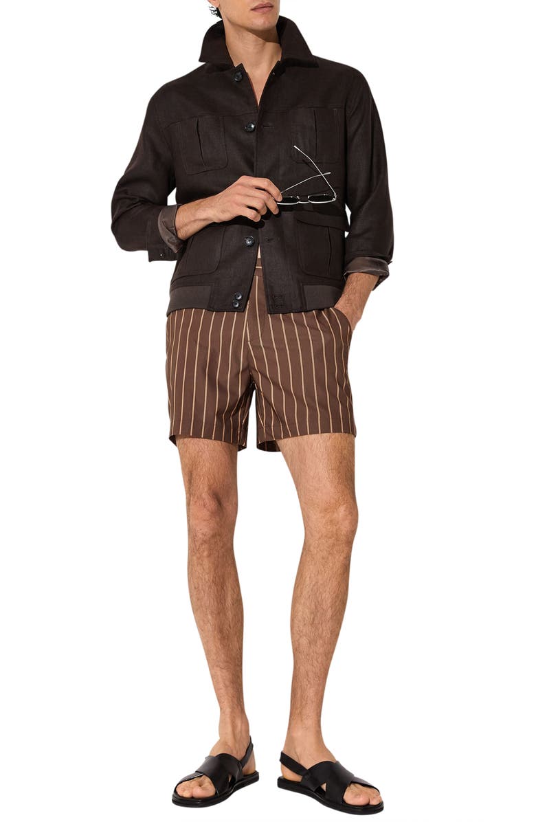 Reiss Presley Stripe Side Adjuster Swim Trunks, Alternate, color, Dark Brown