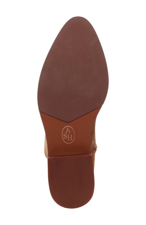 Ash Jocelyn Over The Knee Boot In Brown