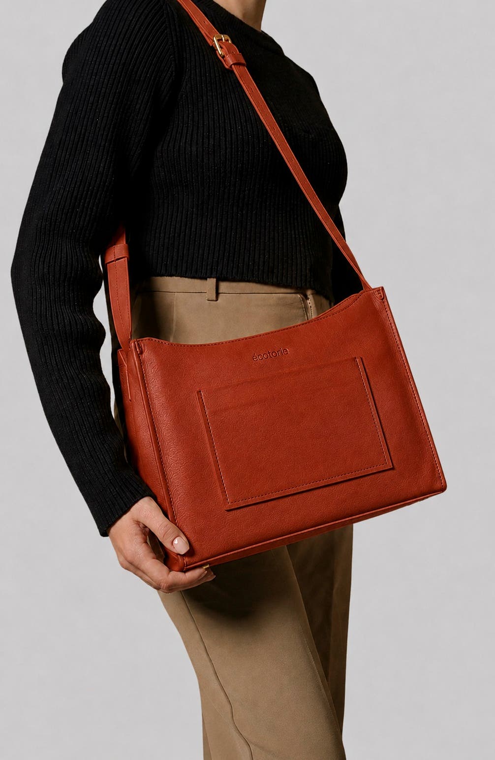 Brigitte Leather Crossbody Bag, Alternate, color, RUST
