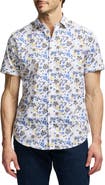 Robert Graham Alvie Short Sleeve Cotton Button-Up Shirt