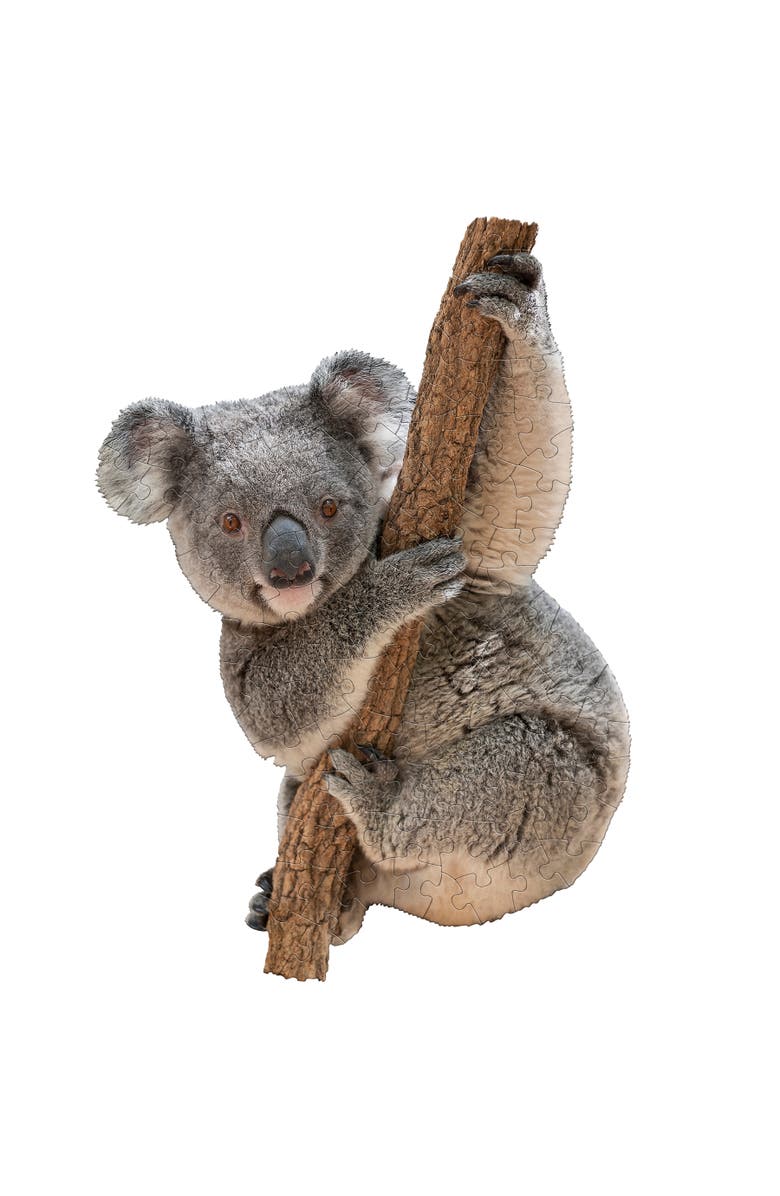 Madd Capp I Am Lil' Koala 100 Pieces Animal Shaped Jigsaw Puzzle, Multi, Alternate, color, Multicolored