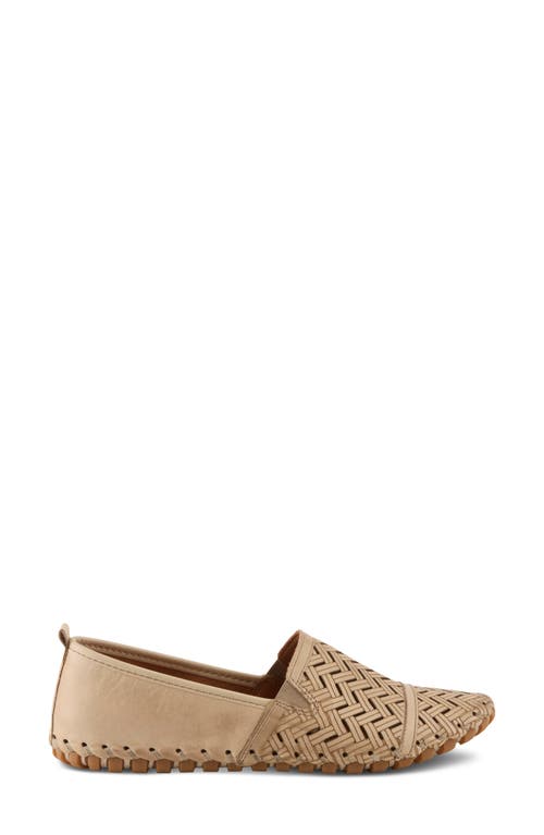 Spring Step Kapri Flat In Beige