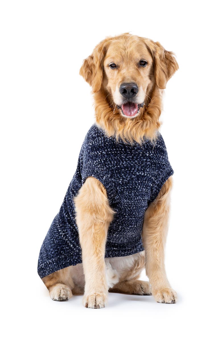 Canada Pooch Soho Sweater, Main, color, 
