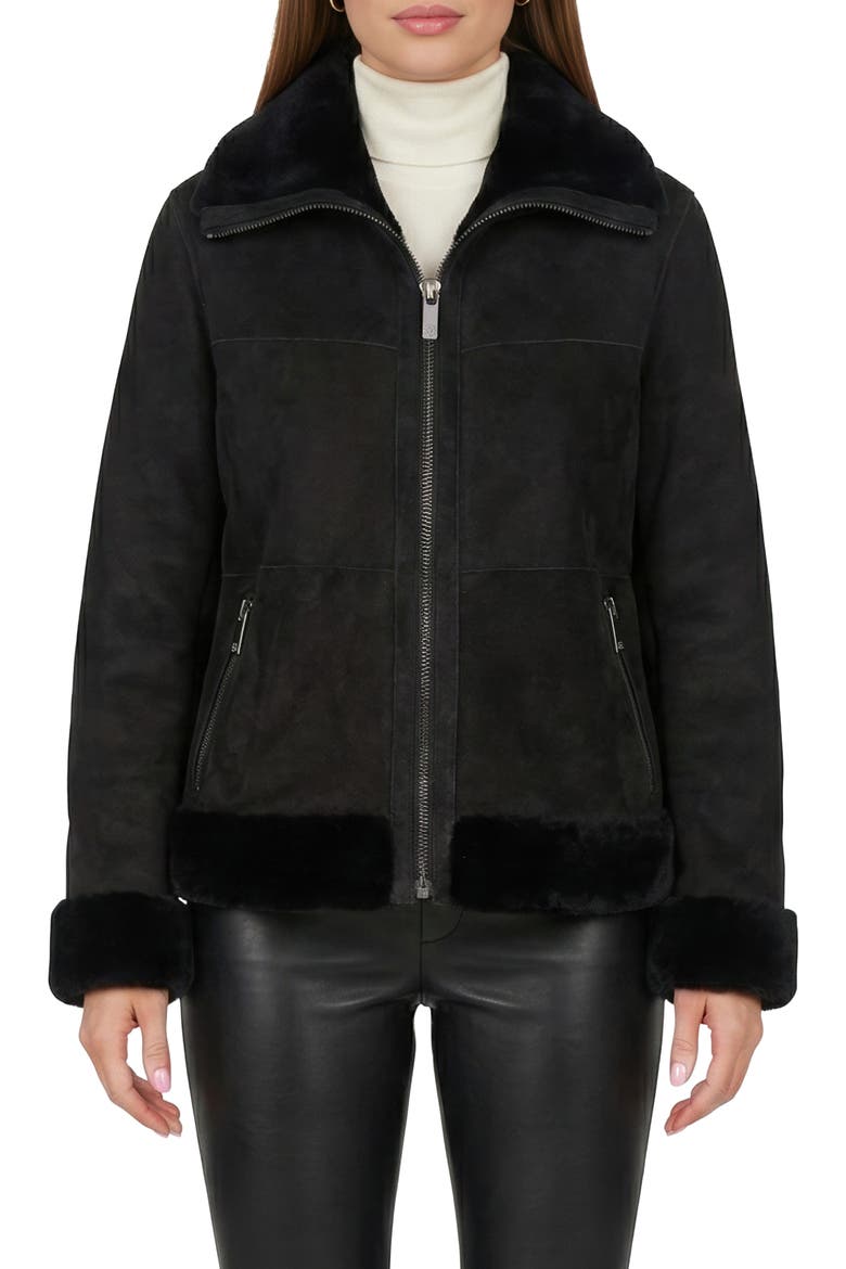 Merino Genuine Shearling Zip Jacket, Alternate, color, BLACK