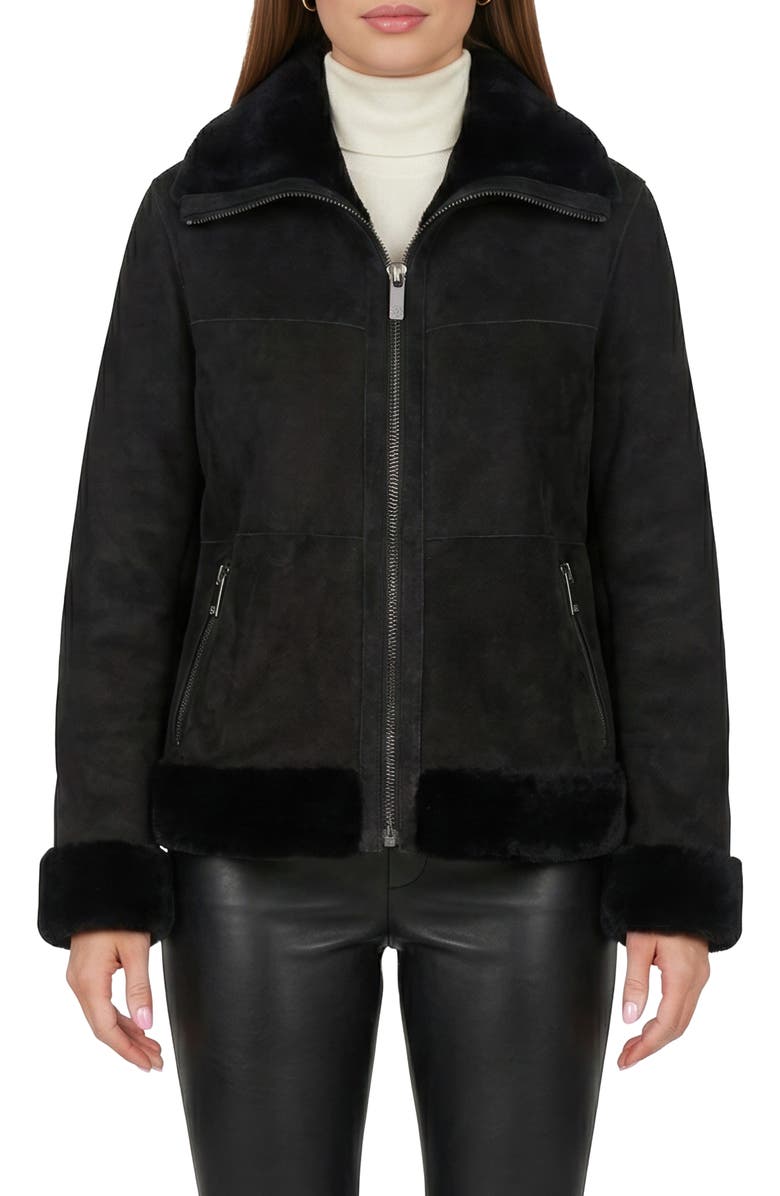 GORSKI Merino Genuine Shearling Zip Jacket, Alternate, color, Black