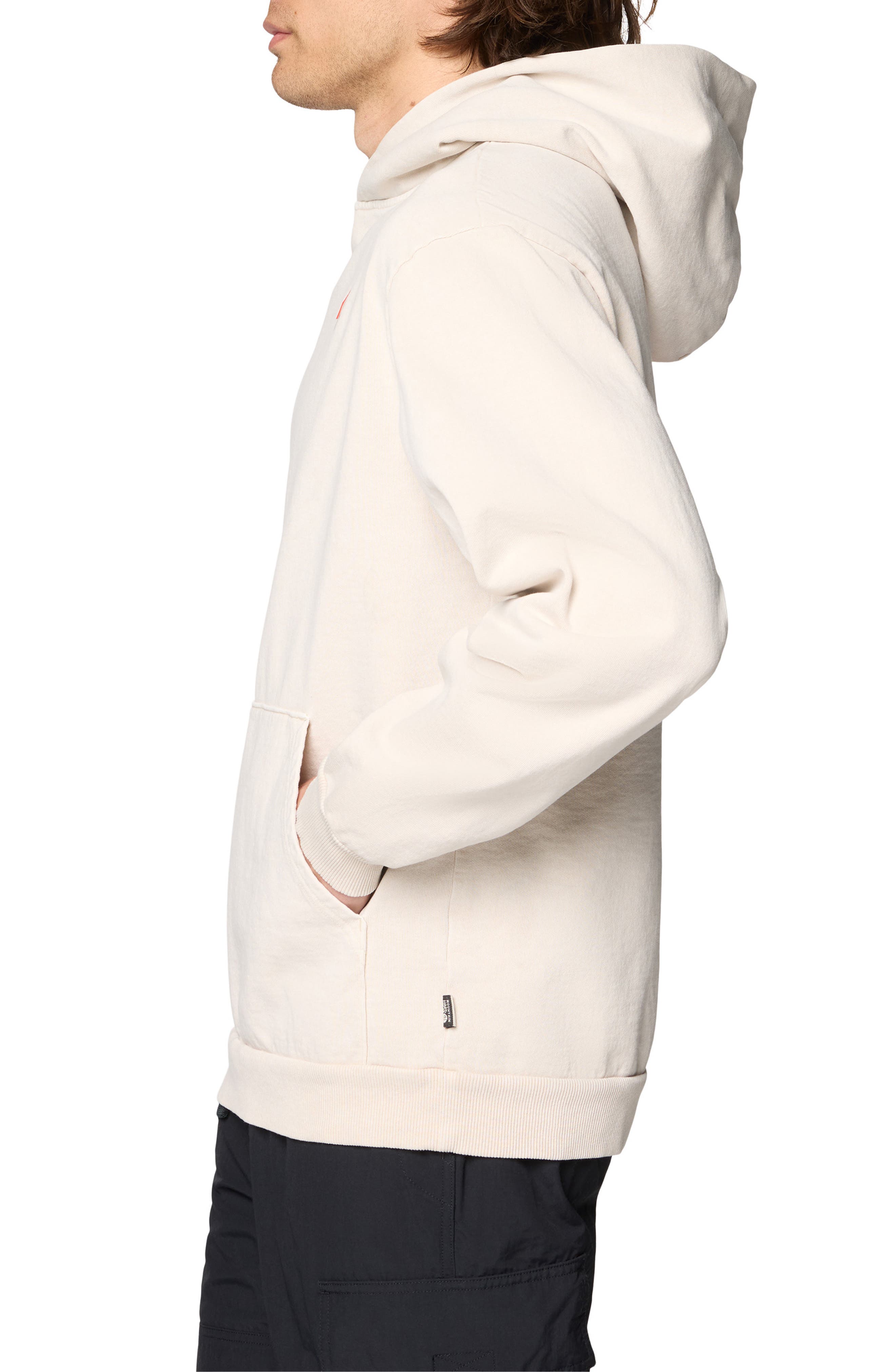 Mountain Hardwear Tricolor Logo Graphic Hoodie (Men) | Nordstrom