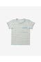  Multi Stripe