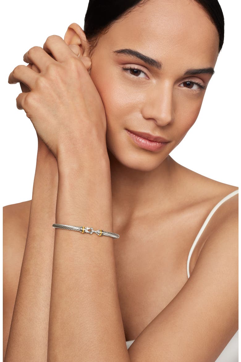 Cable Buckle Bracelet with Gold, 4mm, Alternate, color, TWO TONE
