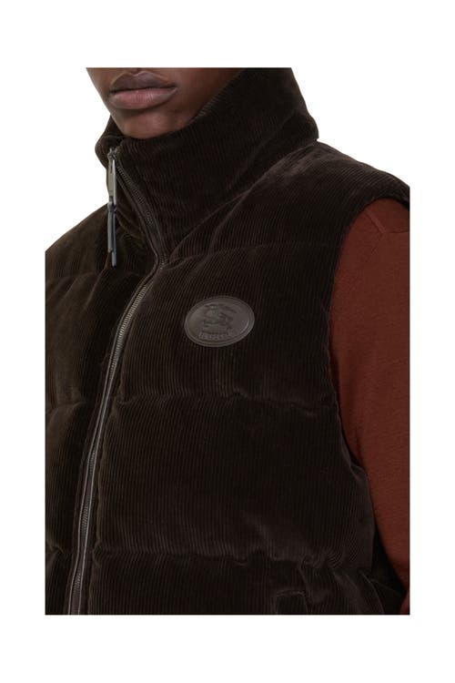 Burberry Corduroy Puffer Gilet In Brown